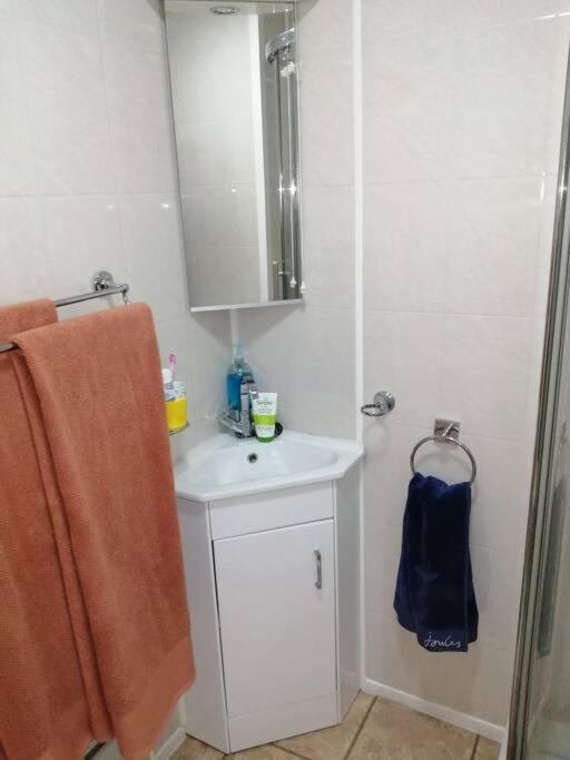 2 Bed Villa With Full Use Of Site Facilities New Quay エクステリア 写真